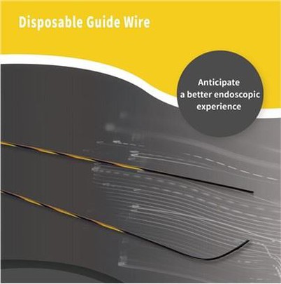 내시경용 가이드 와이어