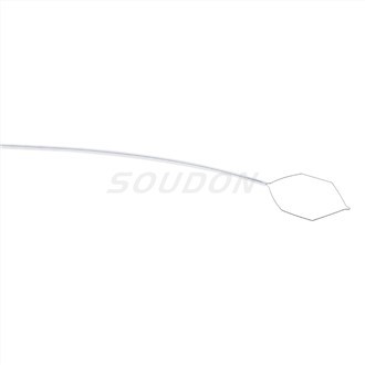 뜨거운 올가미 용종 절제술