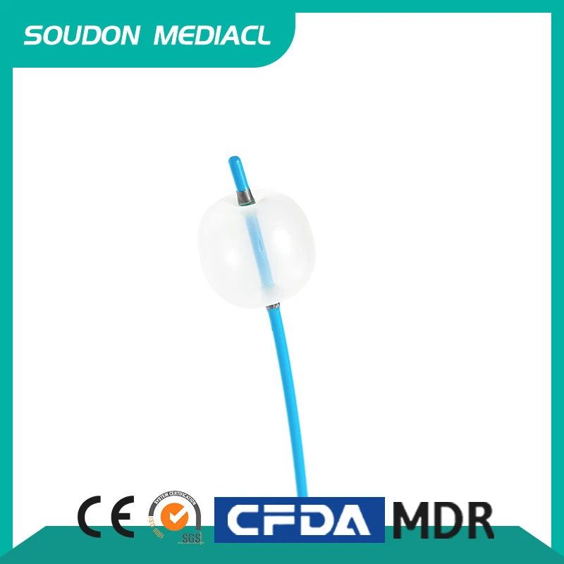 ERCP 풍선 회수 카테터