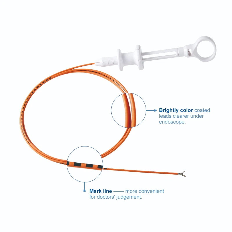 회전형 생검 겸자