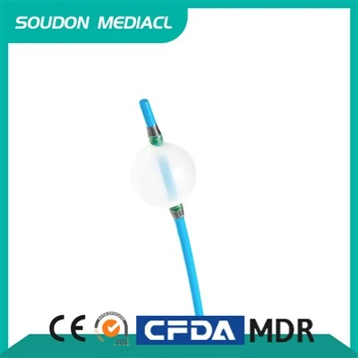 ERCP 풍선석 추출기